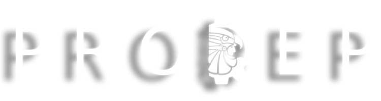 Logo PRODEP